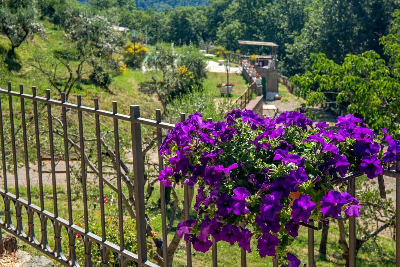 Podere Figlinelle Starda Exteriör bild