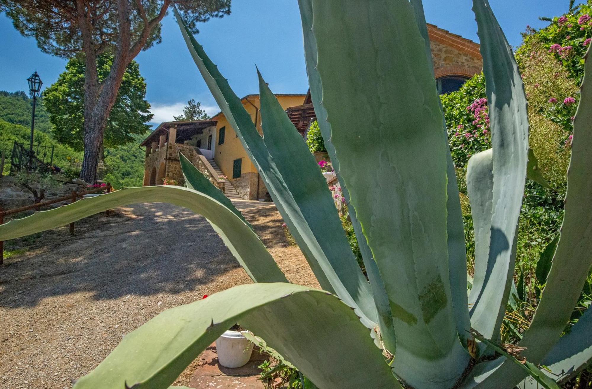 Podere Figlinelle Starda Exteriör bild